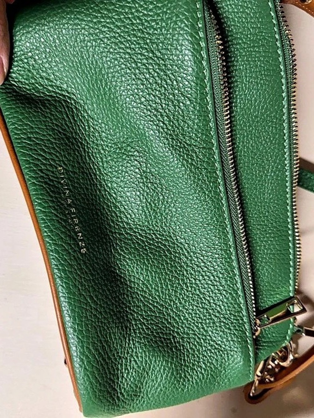 Divina Firenze Green & Brown Crossbody Bag